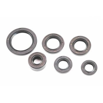 Сальники к-кт 6шт (11,6x24x10; 12x21x4; 13,7x24x5; 17x29x5; 18,9x30x5; 30x42x4,5) двигателя, 139FMB/147FMH/152FMH