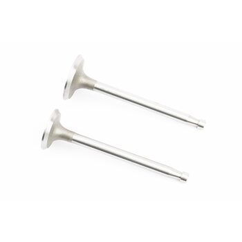 Клапан впускной (h-120; D-42; d-8,9), выпускной (h-120; D-36; d-8,9) к-кт ZS1100