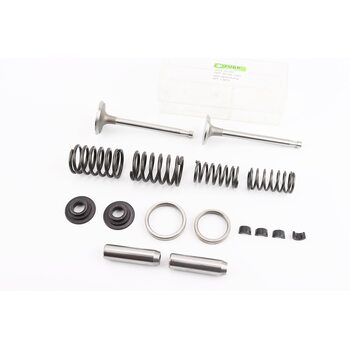 Клапан впускной (h-120; D-44; d-8,9), выпускной (h-120; D-38; d-8,9) + клапанный механизм к-кт JD1105