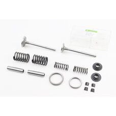 Клапан впускной (h-120; D-42; d-7,95), выпускной (h-120; D-36; d-7,95) + клапанный механизм к-кт R195NM