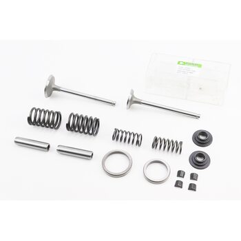 Клапан впускной (h-120; D-42; d-7,95), выпускной (h-120; D-36; d-7,95) + клапанный механизм к-кт R195NM