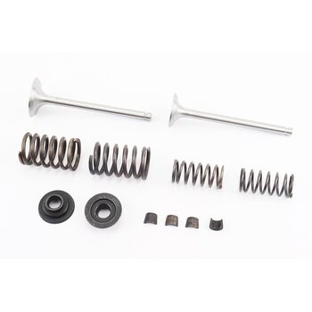 Клапан впускной (h-115; D-39; d-7,95), выпускной (h-115; D-33; d-7,95) + клапанный механизм к-кт R185N/R190N/R192N