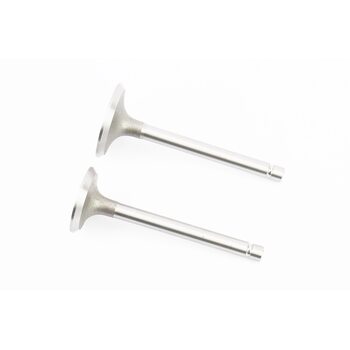 Клапан впускной (h-93; D-40; d-7,95), выпускной (h-93; D-34; d-7,95) к-кт GZ195