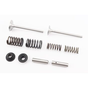 Клапан впускной (h-120; D-42; d-7,95), выпускной (h-120; D-36; d-7,95) + клапанный механизм к-кт R195NM