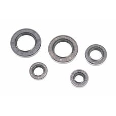 Сальники к-кт 5шт (12x24x7; 14x24x6/7; 17x29x8; 25x40x8; 26x42x7/8) двигуна, TB60