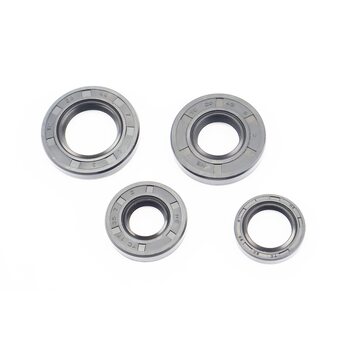 Сальники к-кт 4шт (17x35x7; 20x30x6; 20x42x8; 25x44x7) двигуна