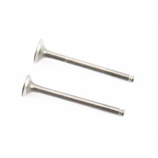 Клапан впускной, выпускной к-кт 69,4мм