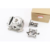 Головка циліндра + клапана + пастель + розподільний вал у зборі 44мм-60cc