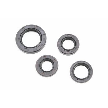 Сальники к-кт 4шт (16,4x30x5; 17x30x6; 19,8x30x5; 27x42x7) двигуна