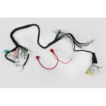 Проведення центральне (див. фото)