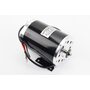 ATV дитячий ЕЛЕКТРО - Мотор ZY1020 - 36V 1000W 27.8A 2500об/хв