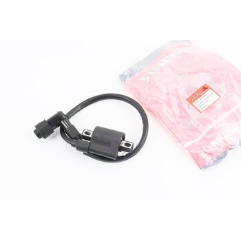 V200-F2 V250-F2 Котушка запалювання зі свічником