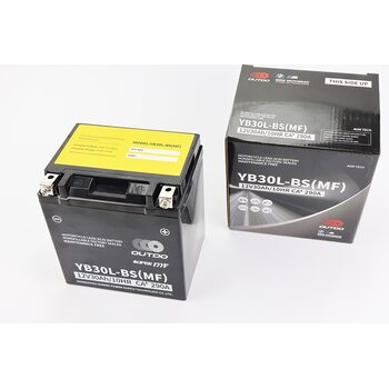 Акумулятор 12V30Ah YB30L-BS(MF) кислотний (L168*W132*H192mm)