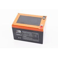 Аккумулятор 12V13Ah 6DZM13 кислотный (L150*W101*H99mm) для ИБП, игрушек и т.д.