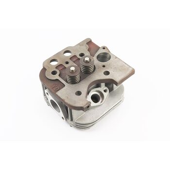 Головка циліндра у зборі Тип 1