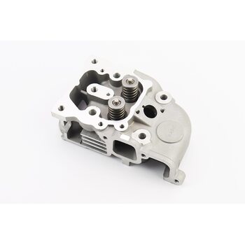 Головка 170F Витязь/Кама в сборе