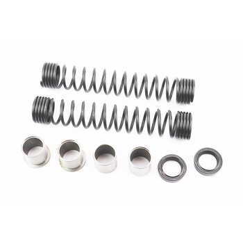 Ремонтный к-кт амортиз. передних - 8деталей (сальники, пружины, втулки) DELTA