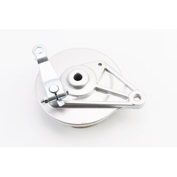 Панель тормозная задняя+колодки+торм. механизм