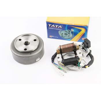 Магнето в сборе (на 2 катушки)