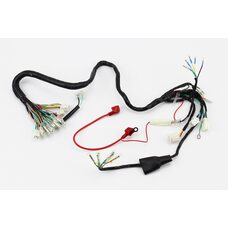 Проведення центральне (див. фото)