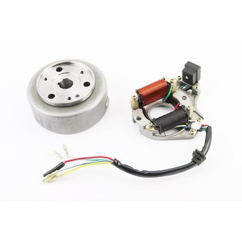 Магнето в сборе (на 2 катушки)