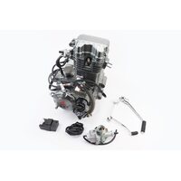Двигун мотоциклетний в зборі CGT-250cc (водяне охолодження) + карбюратор, комутатор, котушка запалювання, тип 2