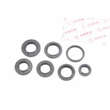 Сальники к-кт 7шт (17x27x6; 20x38x5; 22x38x6; 24x43x6; 25x37x6; 27x40x6; 34x41x4) двигуна, Suzuki AD100