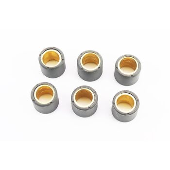 Ролики варіатора 6шт, 25x22,2 - 24г, Тайвань