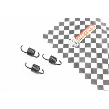 Пружина варіатора к-кт 3шт Honda Lead 100 - 1500об / хв