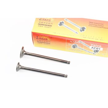 Клапан впускной, выпускной (НЕМАГНИТНЫЙ) к-кт Honda AF-61/62 (d=20,4/16мм; h=78,9/79,3мм)