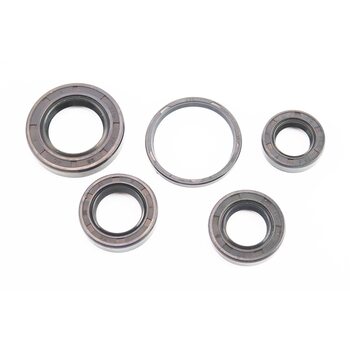 Сальники к-кт 5шт (15x25x7; 17x30x7; 20x31x7; 25x40x7; 34x39x4) двигуна, Honda DIO, від 10шт -15%