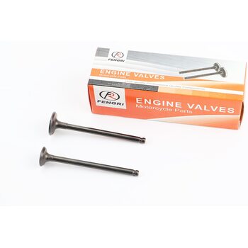 Клапан впускной, выпускной к-кт Honda AF-61/62 (d=20/16,3м; h=79,5мм)