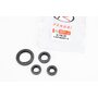 Loncin LX200GY-3 Сальники к-кт 4шт (14x28x7; 16x28x7; 20x34x7; 34x50x7) двигуна