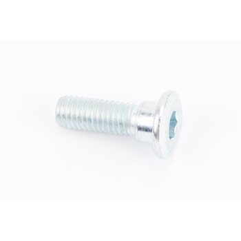 Болт кріплення гальмівного диска M8x25mm (під шестигранник) тип 1