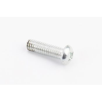 Болт M6x20mm (під викрутку +)