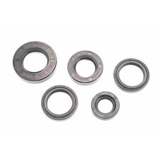 Сальники к-кт 5шт (19x32x6; 25x42x10; 30x42x7/8-2шт; 30x52x10) КАСКАД, НЕВА, ОКА, ЛУЧ