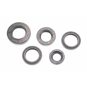 Сальники к-кт 5шт (19x32x6; 25x42x10; 30x42x7/8-2шт; 30x52x10) КАСКАД, НЕВА, ОКА, ЛУЧ