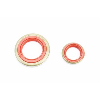 Сальники к-кт 2шт (13x19x4; 18x29, 6x5) MS-440, метал