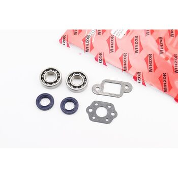 Прокладки MS-170/180/210/230/250, к-кт 2 деталі + сальник 15x25x5-2шт + підшипник 6002-2шт, на блістері