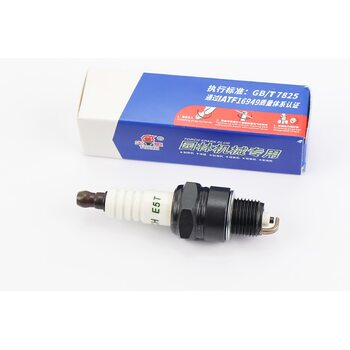 Свічка 2Т E5T - M14 L12