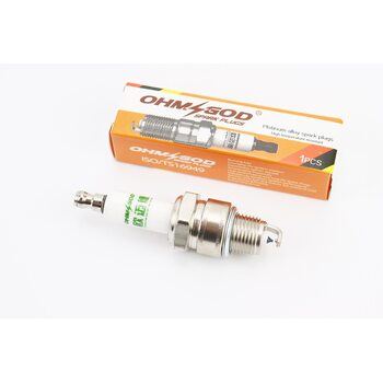 Свеча 2Т PP-E6 платиновая - M14 L12