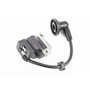 Котушка запалювання 1E36F