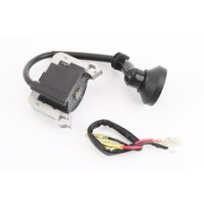 Катушка зажигания 1E36F, Тип 2