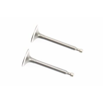 Клапан впускной (h-64; D-25; d-5,45), выпускной (h-62; D-24; d-5,45) к-кт 2шт 168F