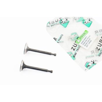 Клапан впускний (h-64; D-25; d-5,45), випускний (h-62; D-24; d-5,45) к-кт 2шт 168F