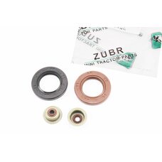 Сальник (25x41,25x6) + сальники к-в, к-кт 4шт, 168F/170F