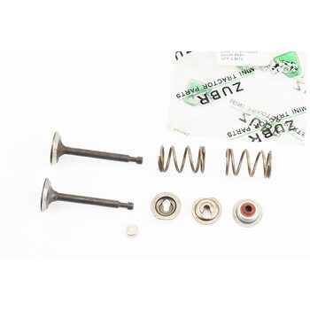 Клапан впускной, выпускной к-кт 2шт 168F + пружина-2шт + компенсатор клапана-1шт + тарелка клапана-2шт + сальник клапана-1шт