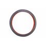 Шина 24"x1,95 (54-507) шипованная с красной полосой SV210