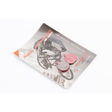 Гальмівні колодки Disk-brake (Hayes MX2/Sole, PROMAX DSK-810), червоні YL-1009