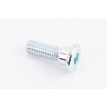 Болт кріплення гальмівного диска з потай M8*L25mm